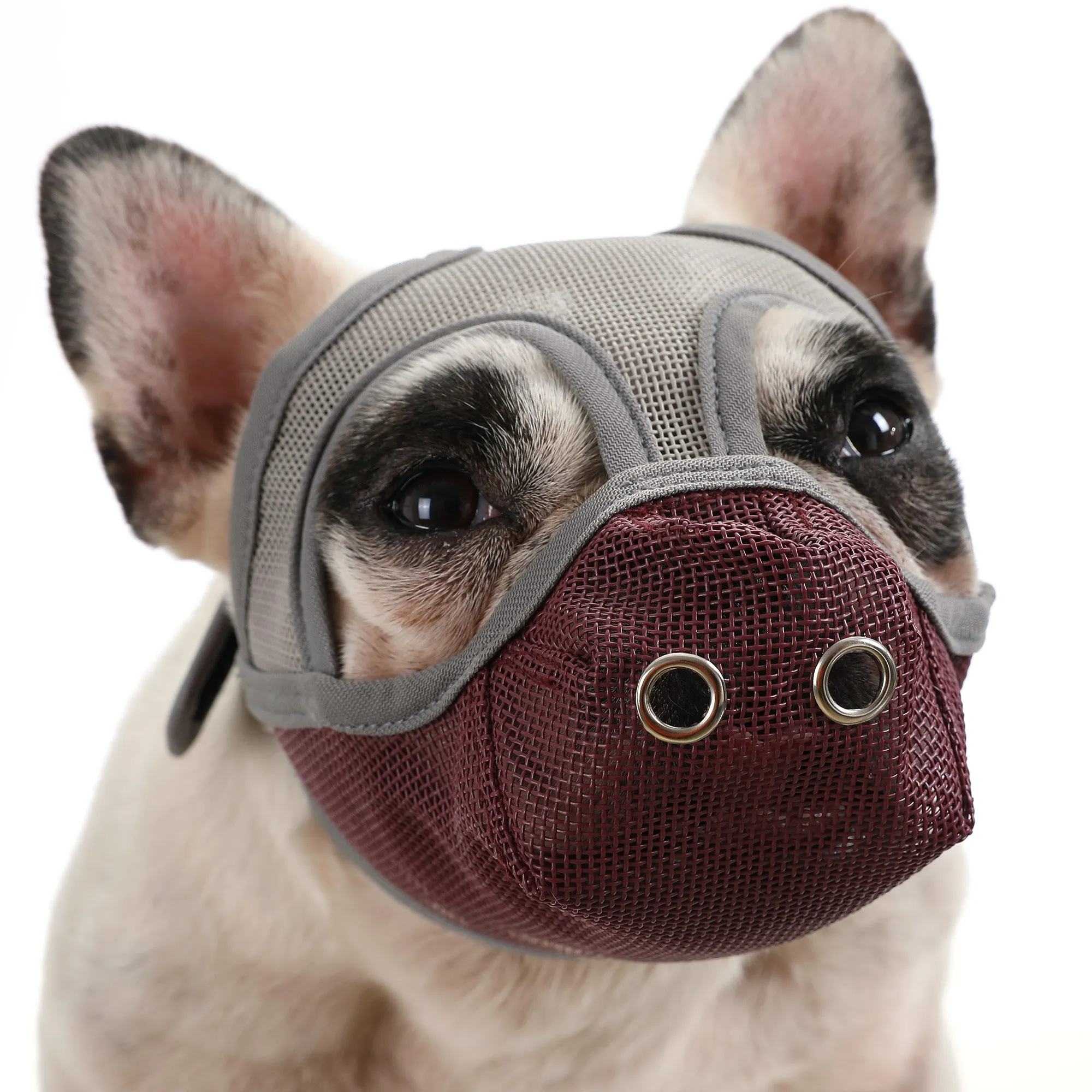 Premium Adjustable Frenchie Muzzle - Mouth Cover for Enhanced Safety