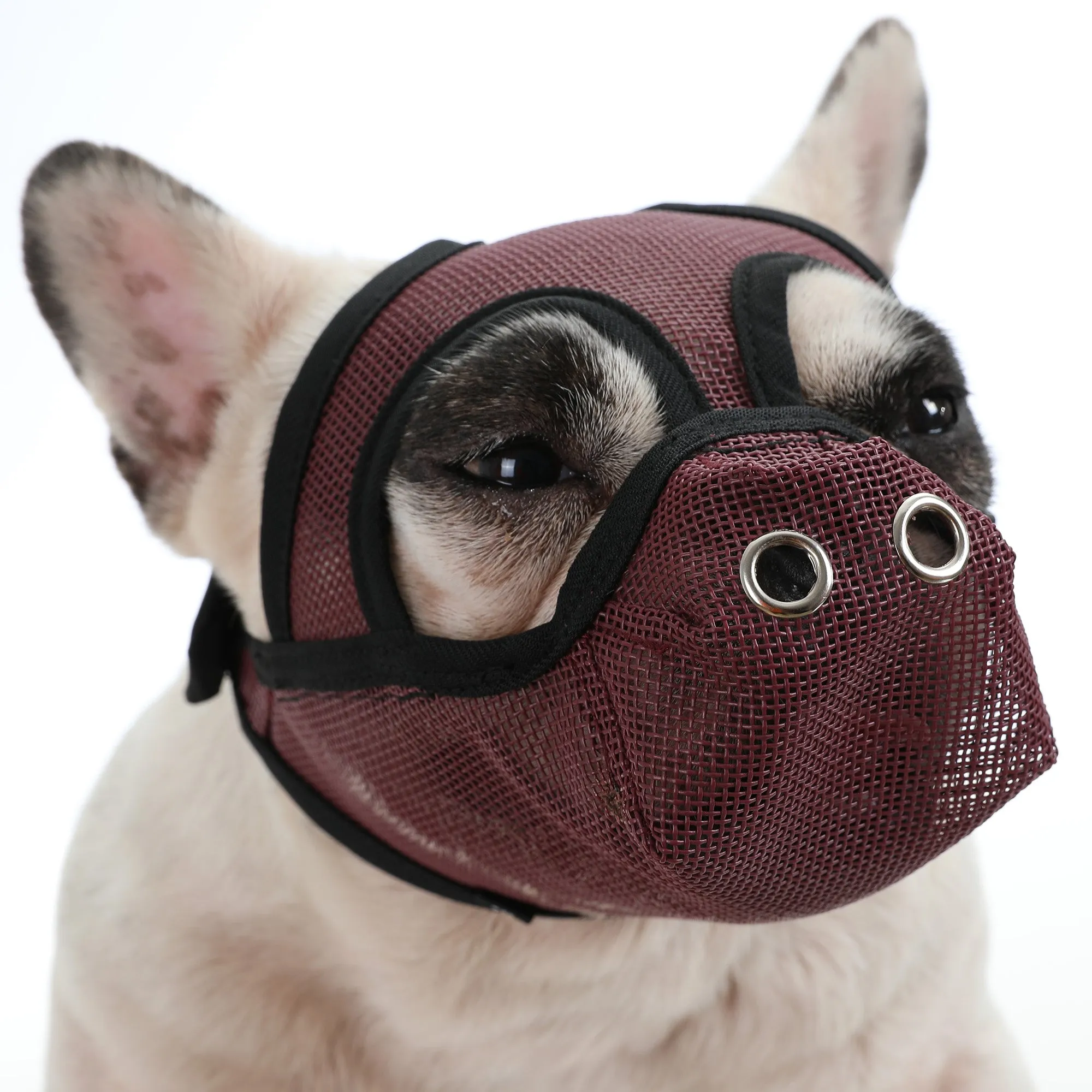 Premium Adjustable Frenchie Muzzle - Mouth Cover for Enhanced Safety