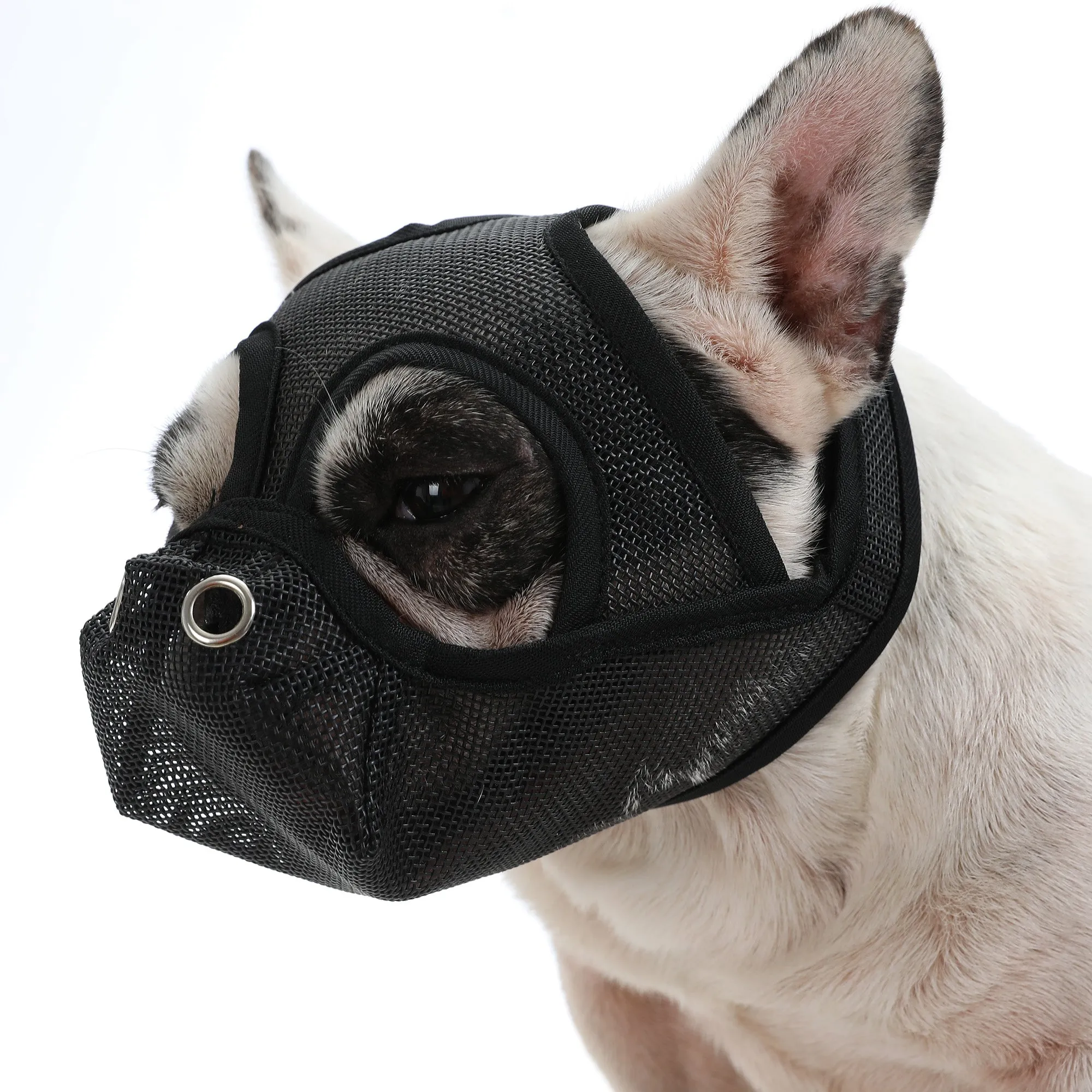 Premium Adjustable Frenchie Muzzle - Mouth Cover for Enhanced Safety