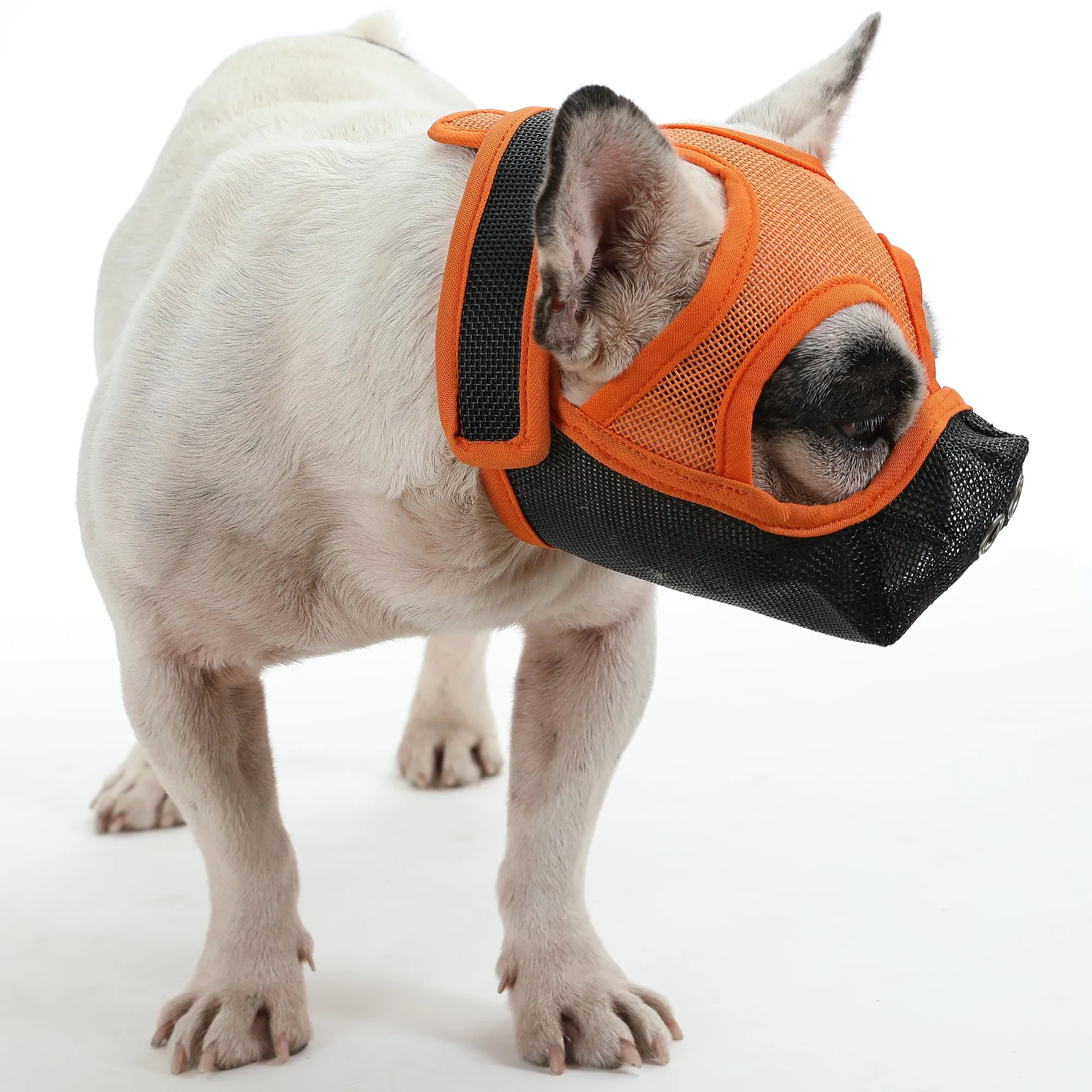 Premium Adjustable Frenchie Muzzle - Mouth Cover for Enhanced Safety