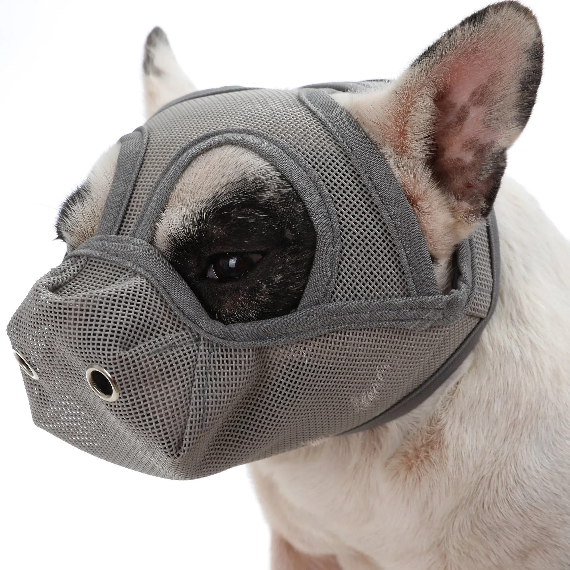 Premium Adjustable Frenchie Muzzle - Mouth Cover for Enhanced Safety