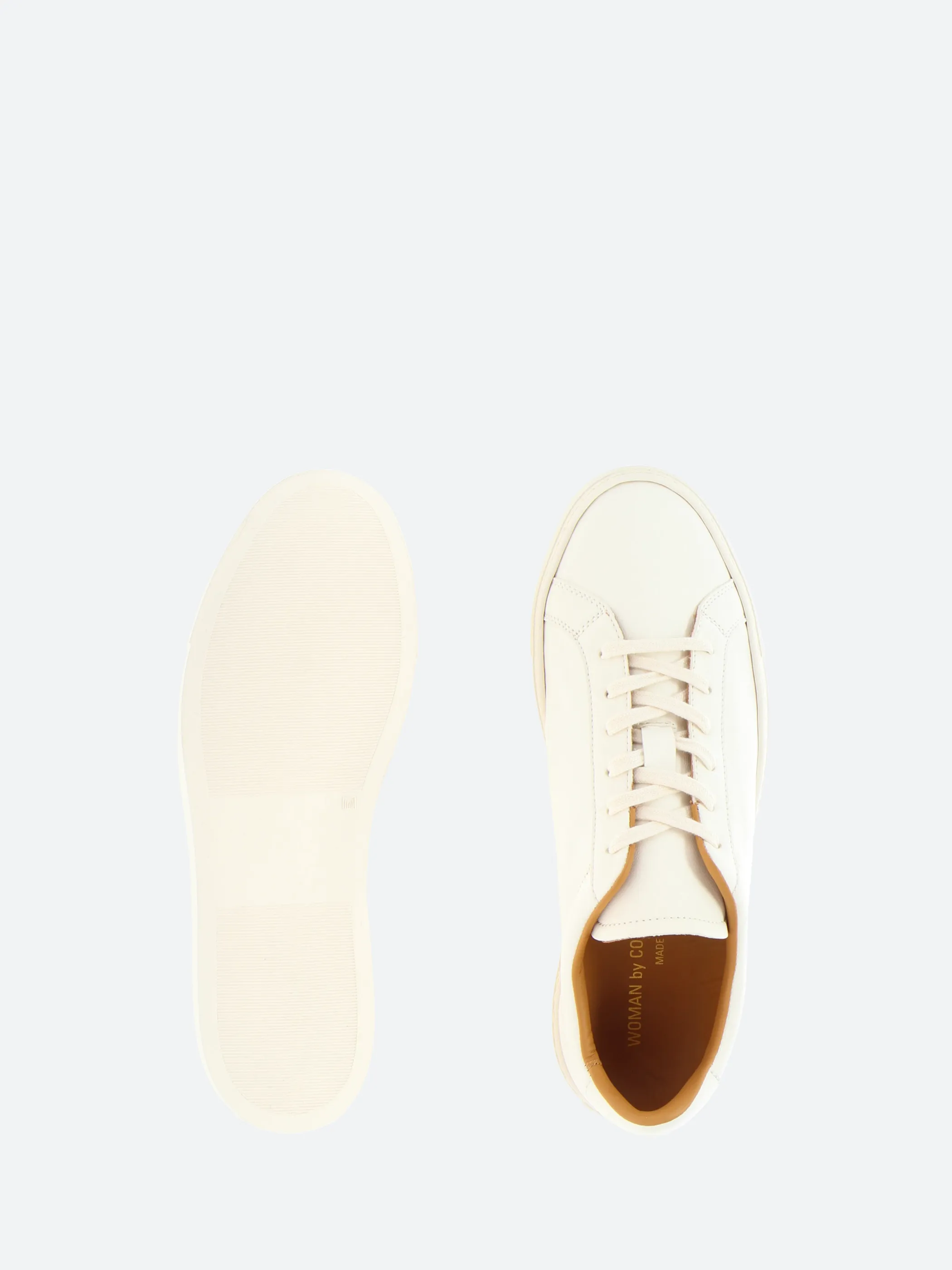 Retro Summer Premium